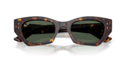 Occhiali da sole Ray-Ban RB4430 Zena 135971
