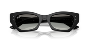 Occhiali da sole Ray-Ban RB4430 Zena 667711 49