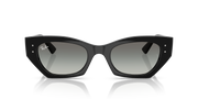 Occhiali da sole Ray-Ban RB4430 Zena 667711 49