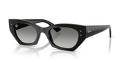 Occhiali da sole Ray-Ban RB4430 Zena 667711 49