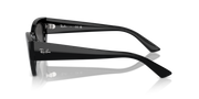 Occhiali da sole Ray-Ban RB4430 Zena 667787