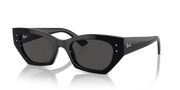 Occhiali da sole Ray-Ban RB4430 Zena 667787