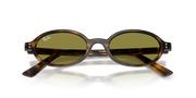 Occhiali da sole Ray-Ban RB4472 1359/2