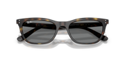 Occhiali da sole Ray-Ban RB4474D 710/87 54