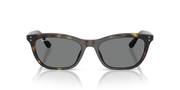 Occhiali da sole Ray-Ban RB4474D 710/87 54