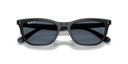Occhiali da sole Ray-Ban RB4474D 901/2V 54