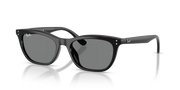 Occhiali da sole Ray-Ban RB4474D 901/87 54