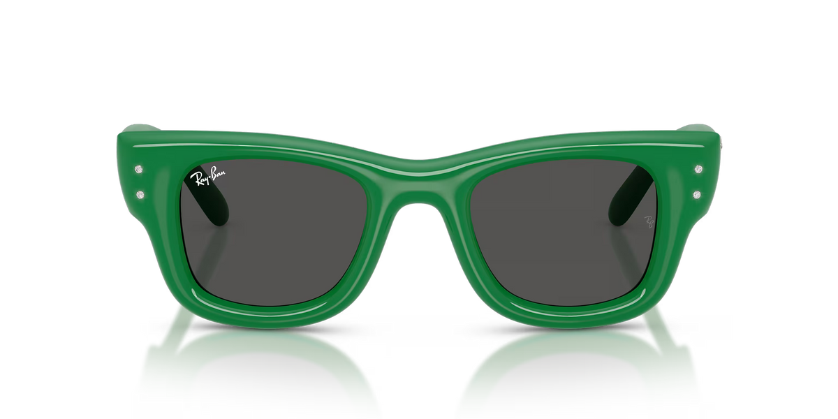 Occhiali da sole Ray-Ban RB4940B Wayfarer Puffer Crystal Edition 685987 47