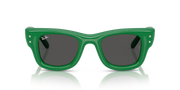 Occhiali da sole Ray-Ban RB4940B Wayfarer Puffer Crystal Edition 685987 47