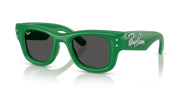 Occhiali da sole Ray-Ban RB4940B Wayfarer Puffer Crystal Edition 685987 47
