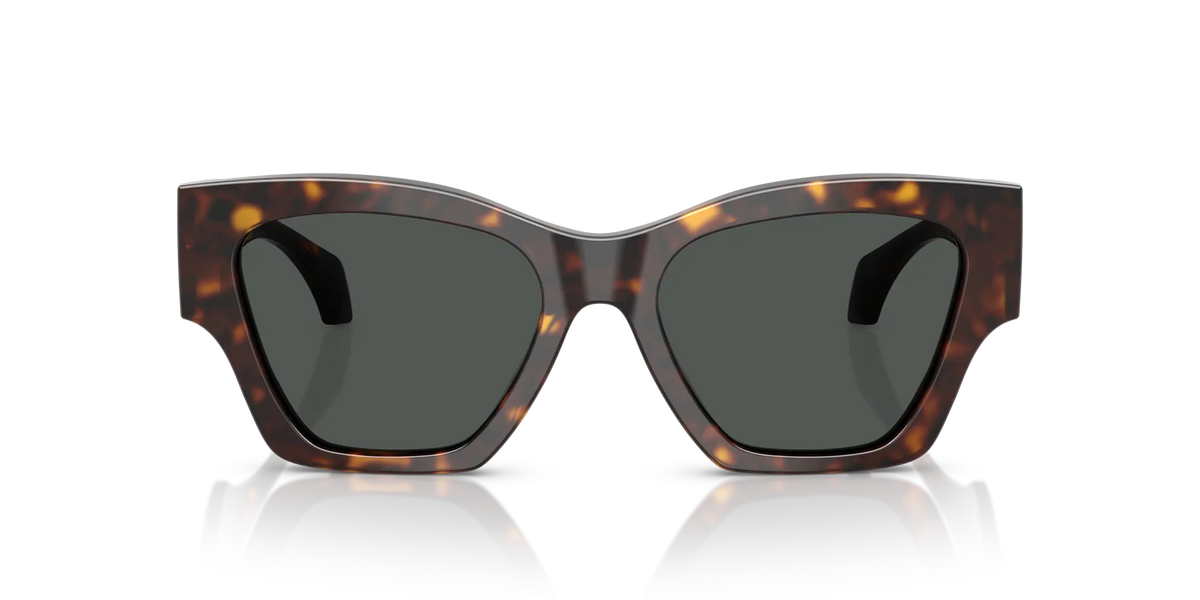 Occhiali da sole Versace VE4492U 108/87 53