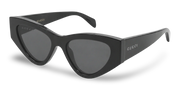 Occhiali da sole Gucci GG2019S 001 53